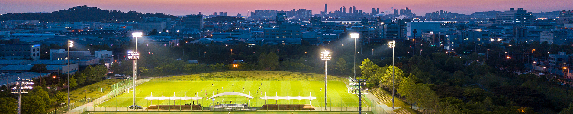 Stadium Lights