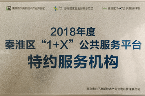 Qinhuai District "1+X" public service platform special service agencies in 2018